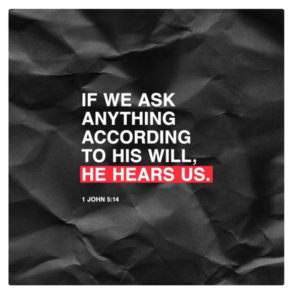 Meet your Posher, Libby - Picture 1 of 1